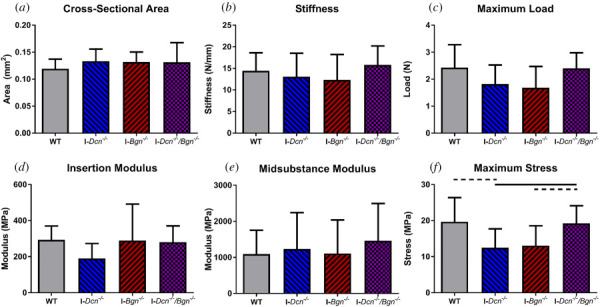 Decorin and biglycan knockdown led to minimal changes in aged tendon quasi-static properties. No differences inCSA (a), stiffness (b), maximum load (c), insertion modulus (d), or midsubstance (e) were observed across genotypes. I-Dcn−/− tendons had decreased maximum stress relative to WT and I-Dcn−/−/Bgn−/− tendons (f). I-Bgn−/− tendons had decreased maximum stress relative to I-Dcn−/−/Bgn−/− tendons. Solid lines denote p ≤ 0.05, and dotted lines denote p ≤ 0.1.