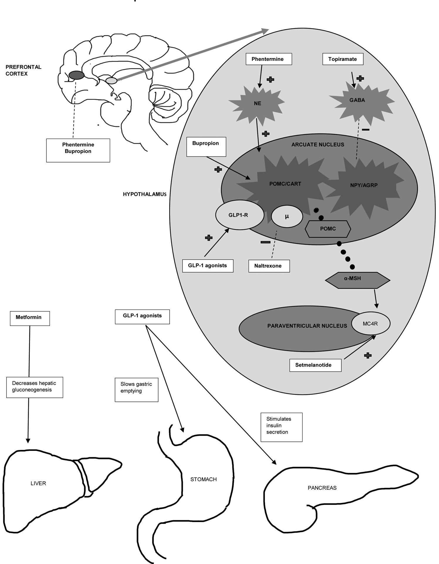 Figure 2: