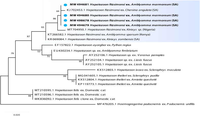 Fig. 2