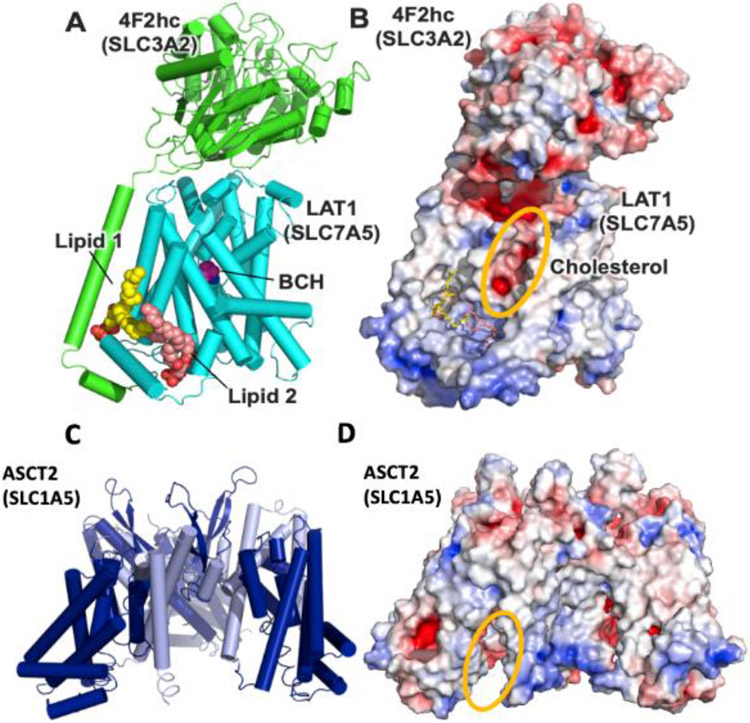 Figure 4: