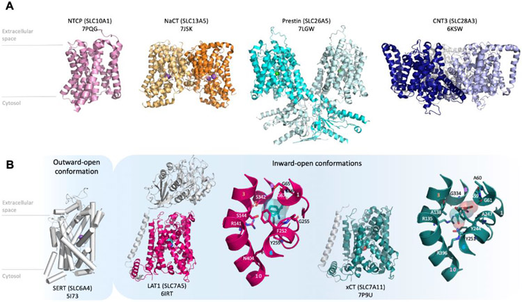 Figure 2: