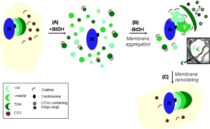 Figure 9.