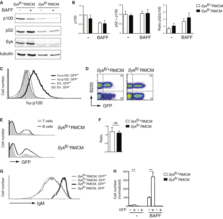 Figure 3