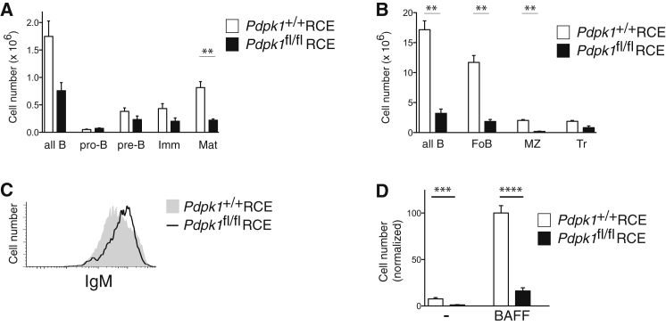 Figure 6