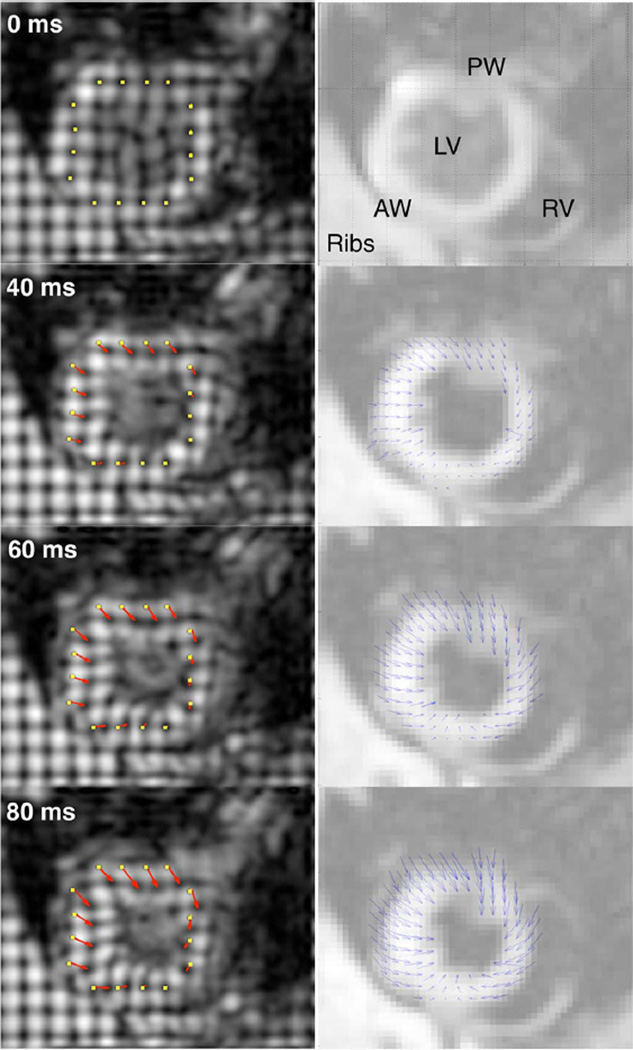 Fig. 8