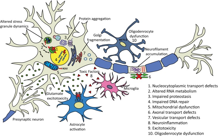 FIGURE 4