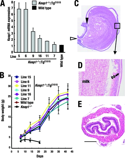 FIG. 8.