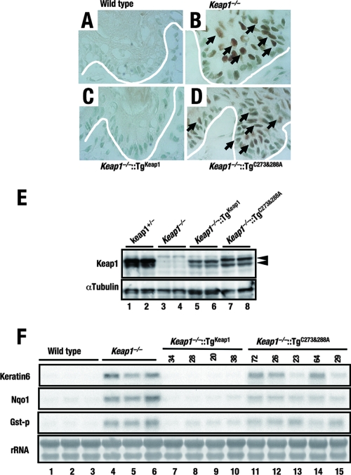 FIG. 6.