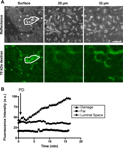 Fig. 2.