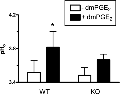 Fig. 10.