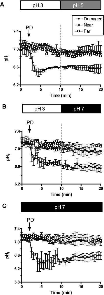 Fig. 7.