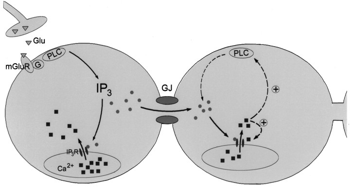 Fig. 6.