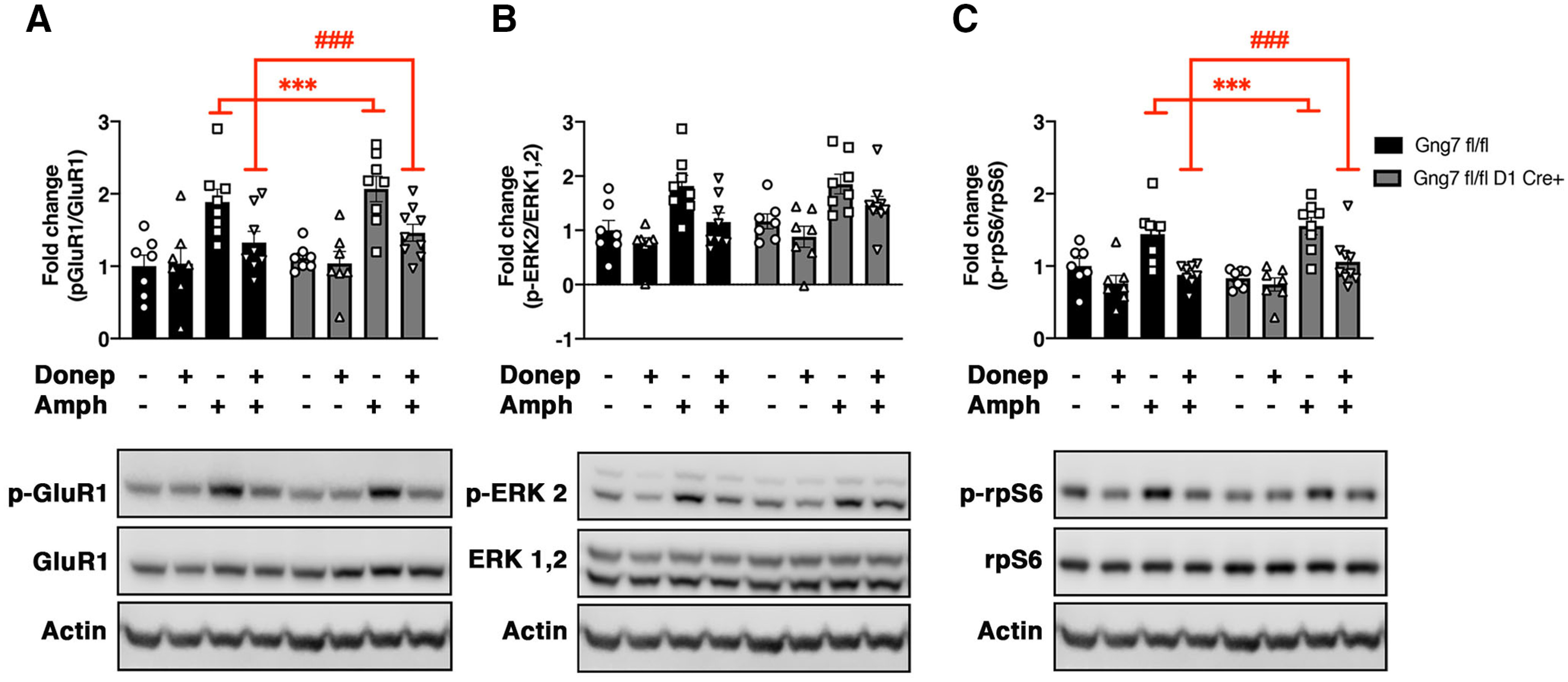 Figure 10.