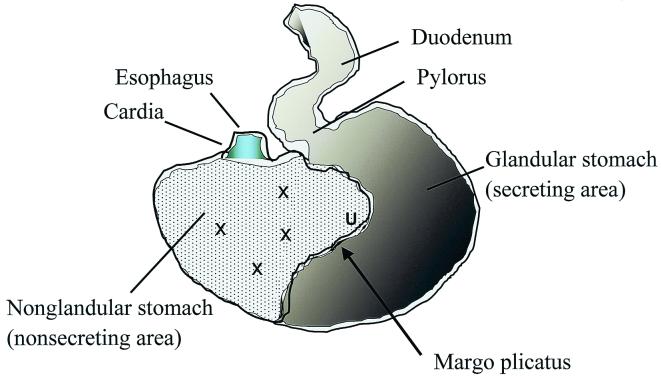 FIG. 1