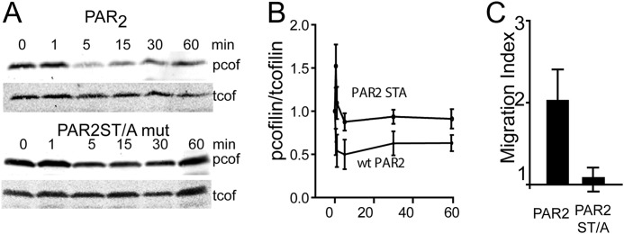 FIGURE 9.