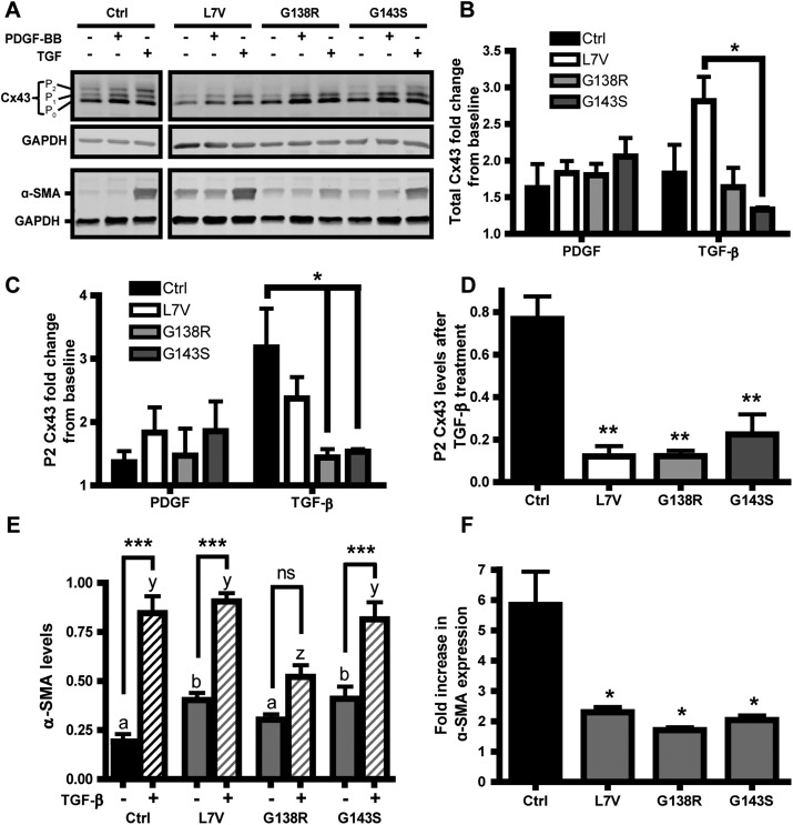 FIGURE 7: