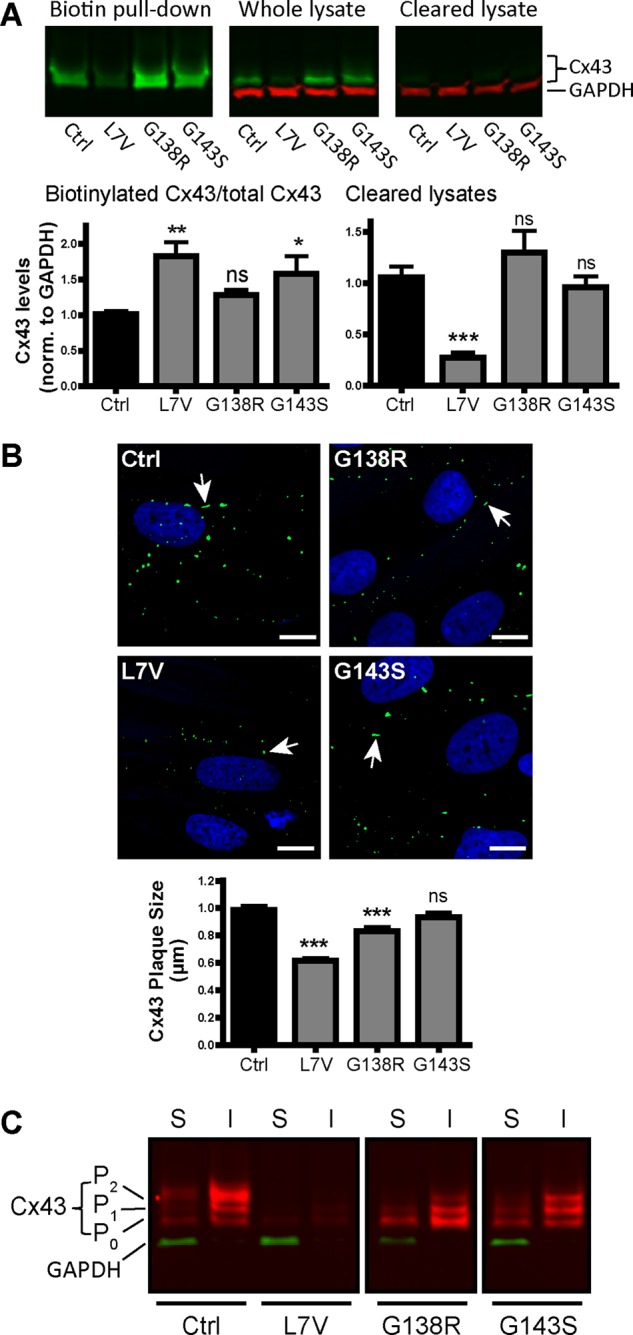 FIGURE 3: