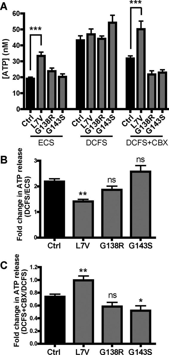 FIGURE 5: