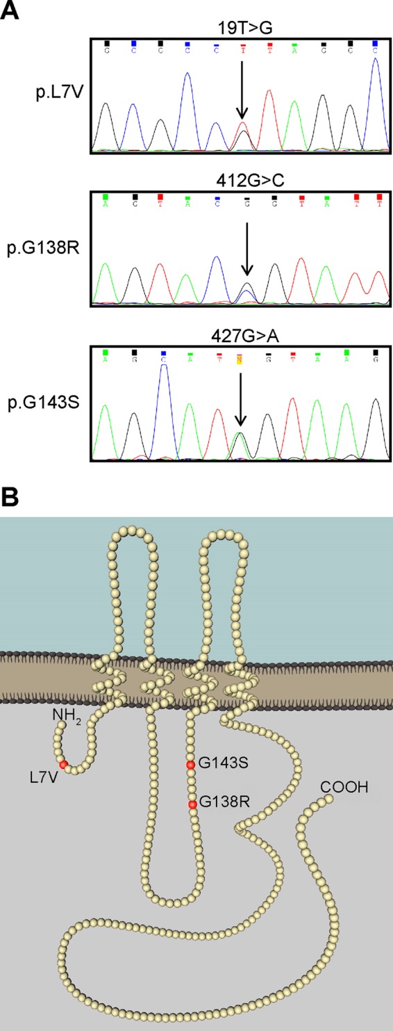 FIGURE 1: