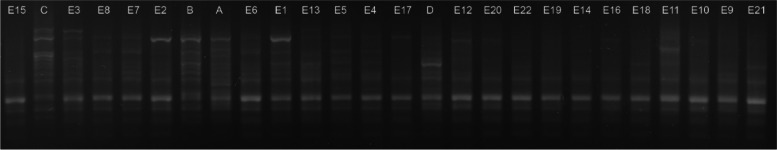 Fig. 10