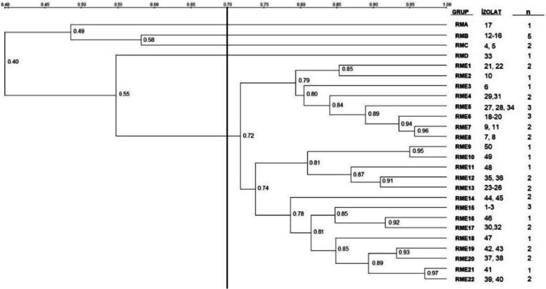 Fig. 11