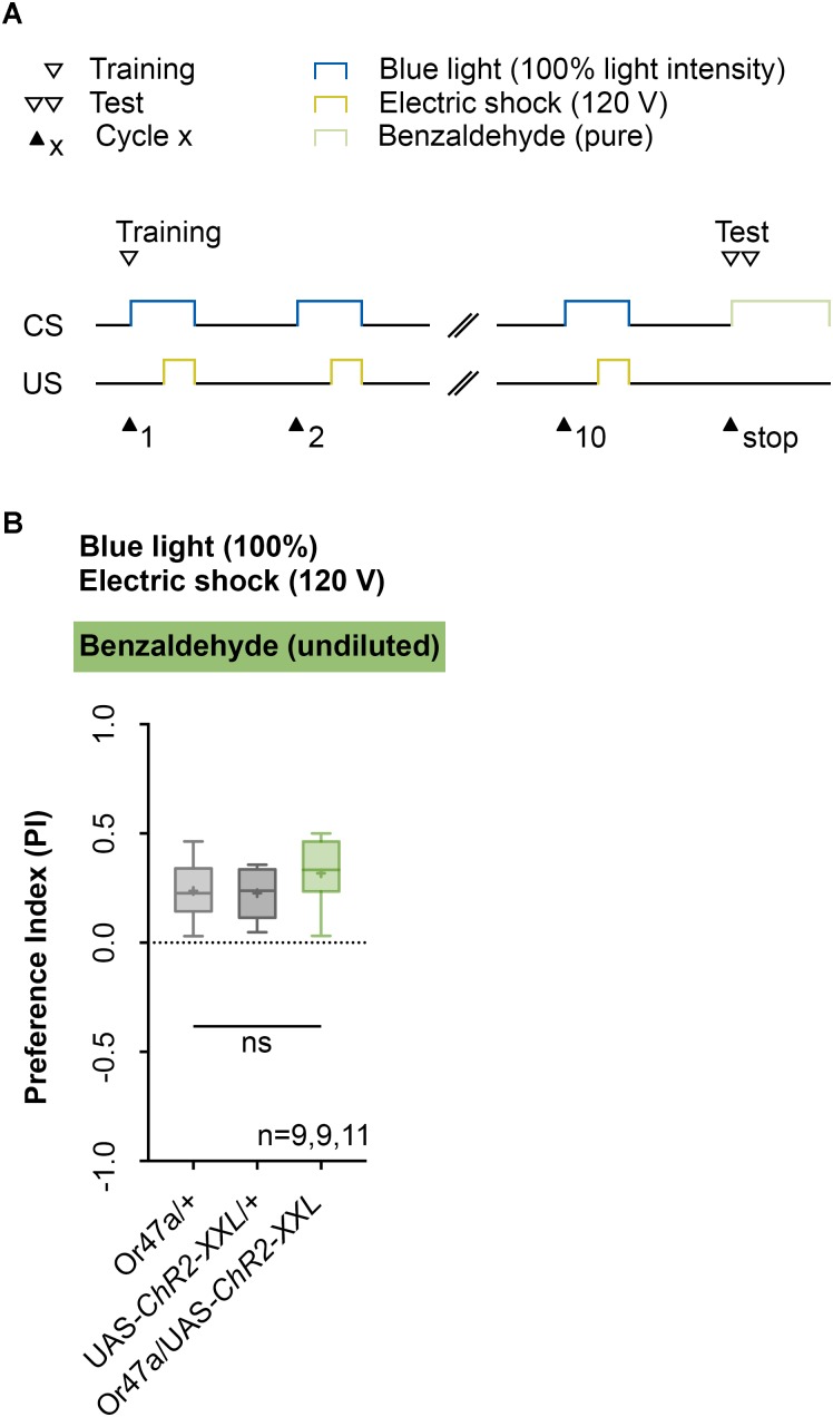 FIGURE 9