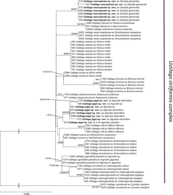 Fig. 4.