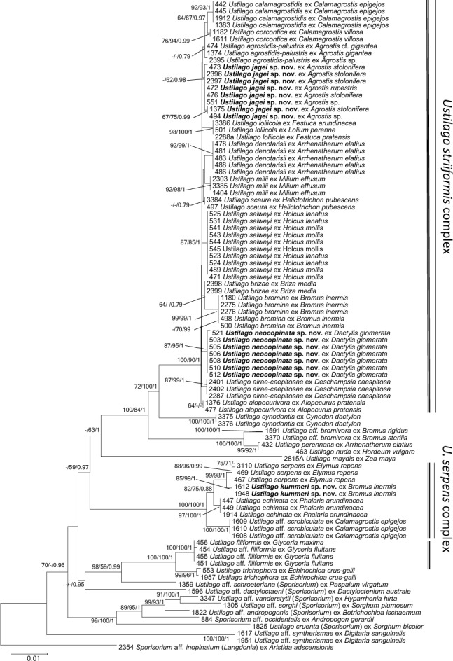 Fig. 2.