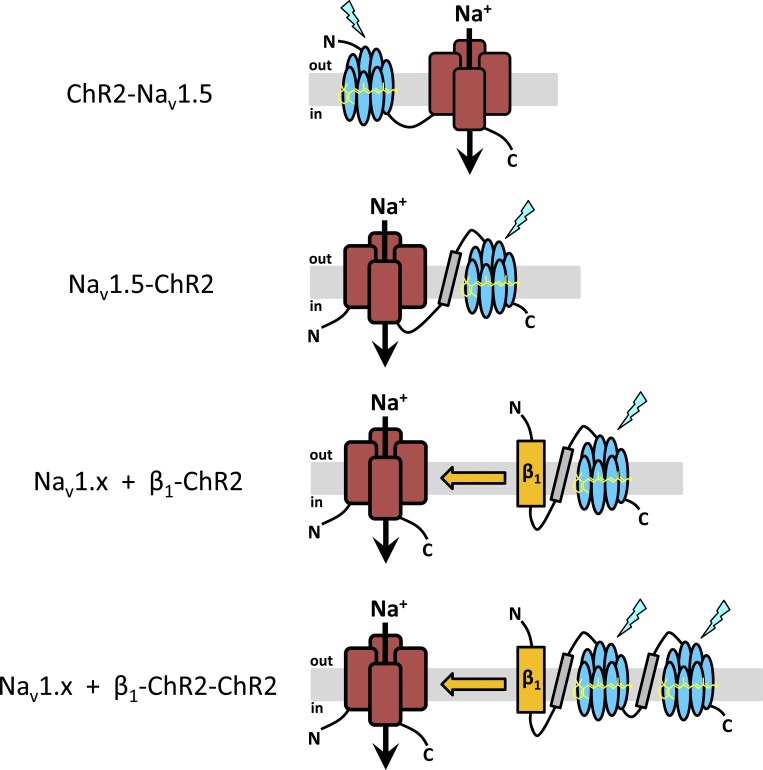 Figure 1.