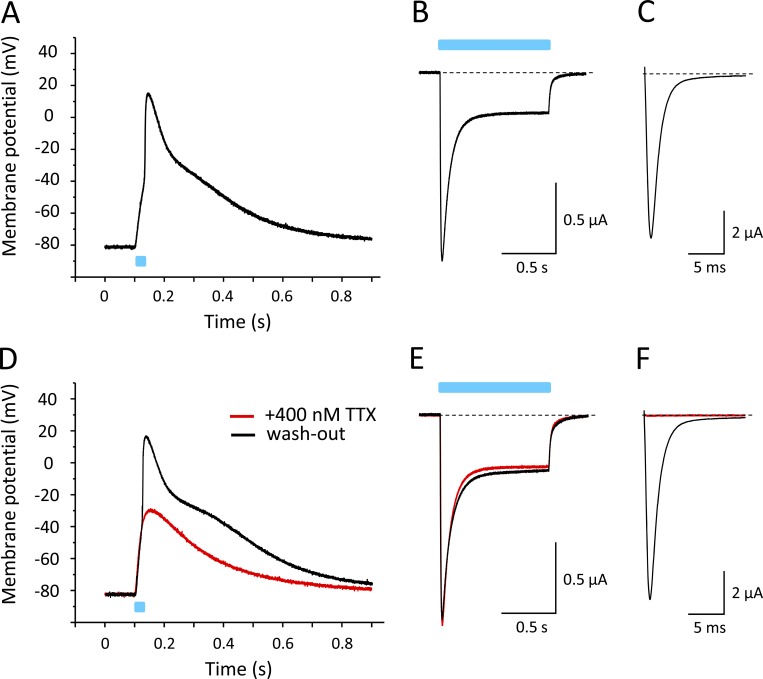 Figure 7.