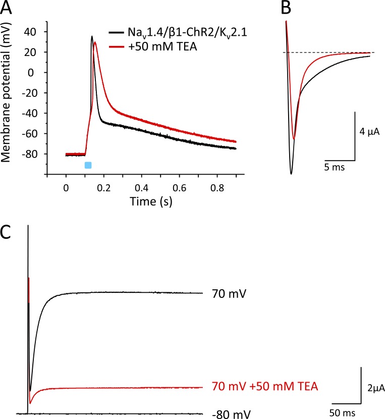 Figure 10.