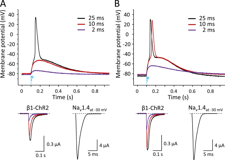 Figure 11.