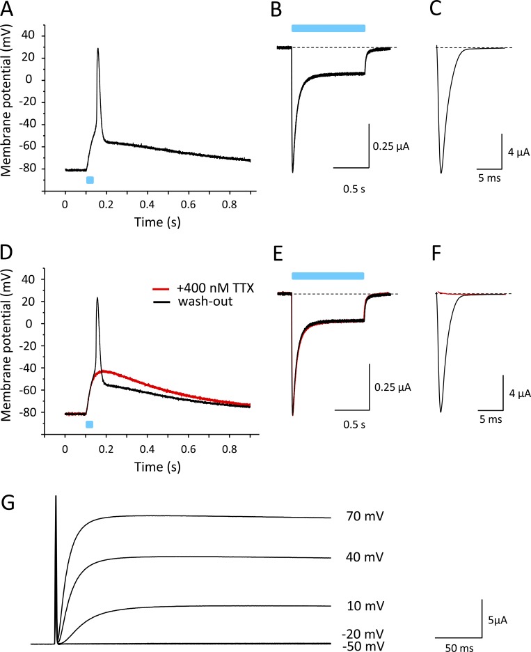 Figure 9.