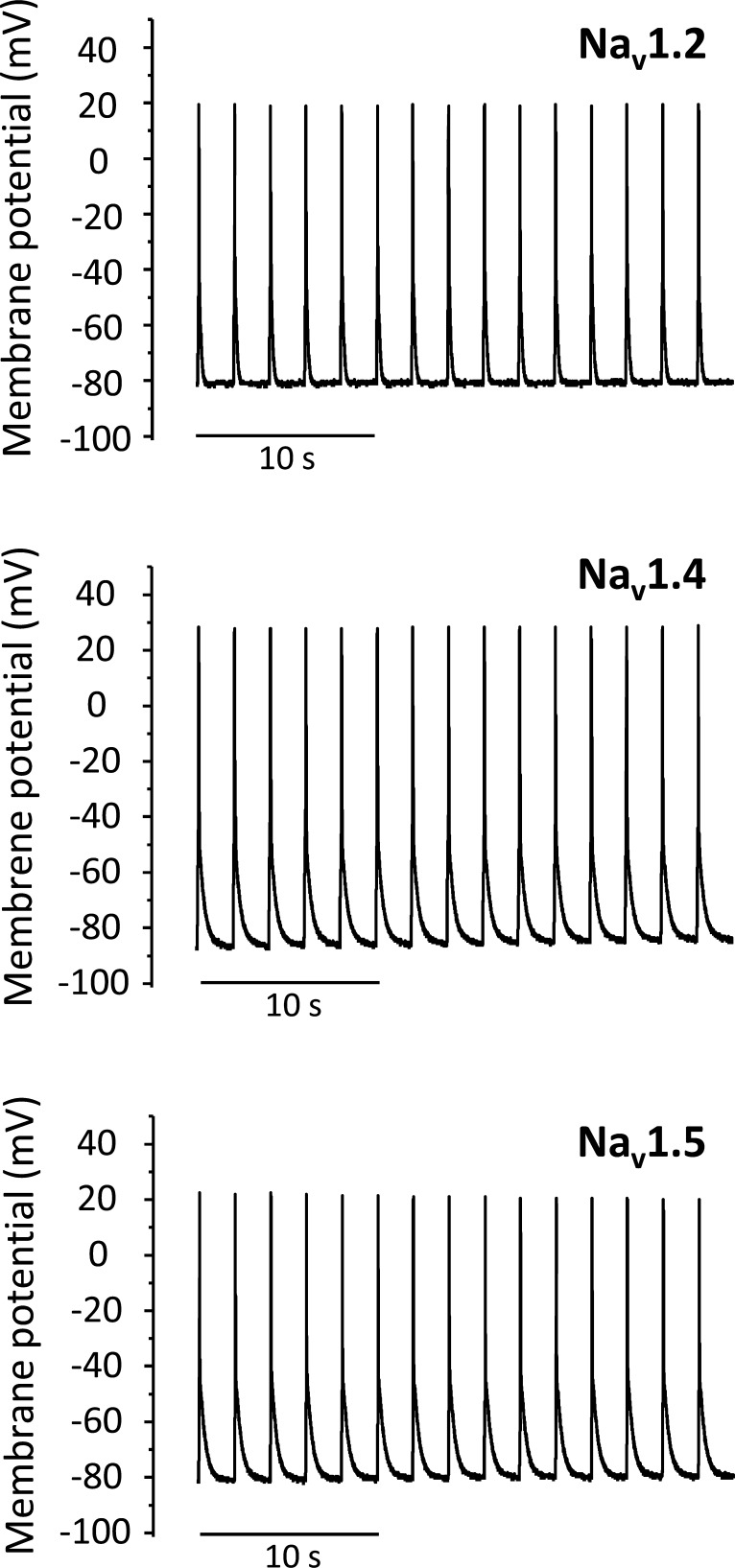 Figure 13.