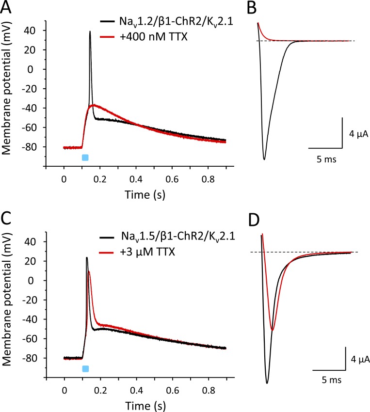 Figure 12.