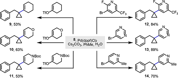 Scheme 5.