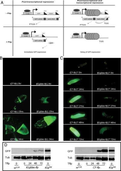 Figure 2.