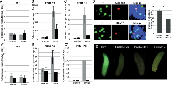 Figure 4.