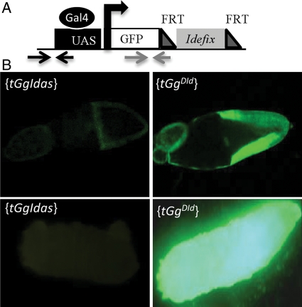 Figure 1.