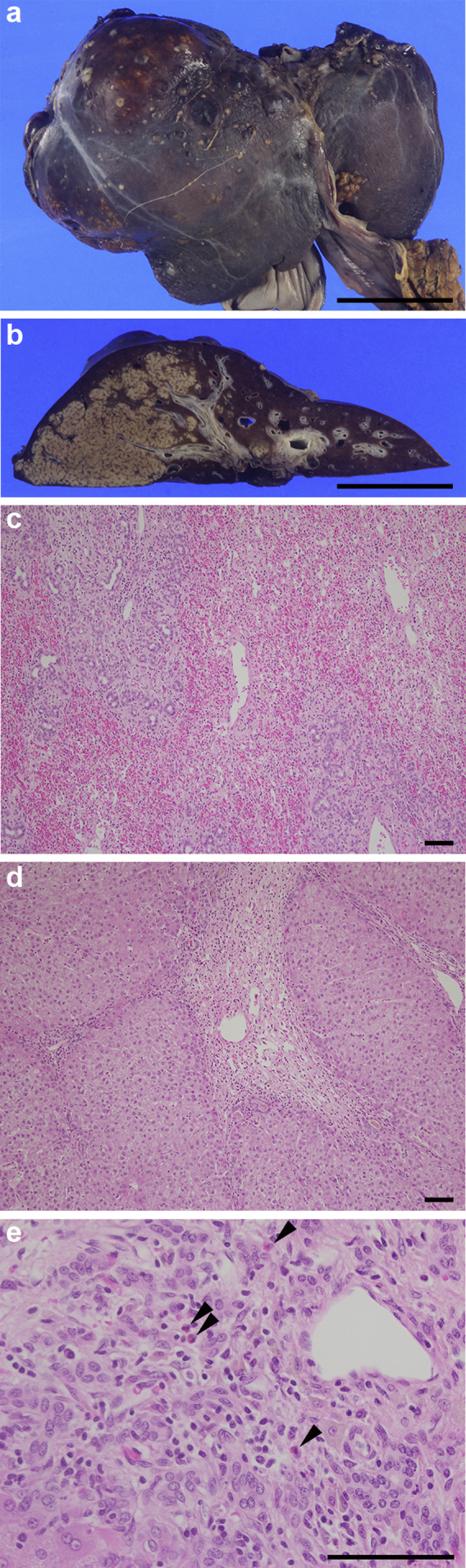 Figure 3