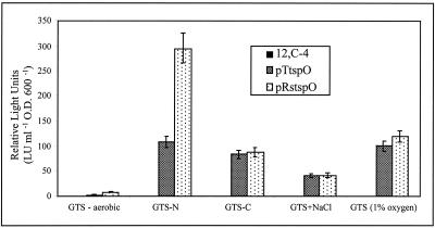 FIG. 5