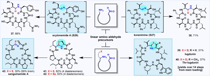 Scheme 5