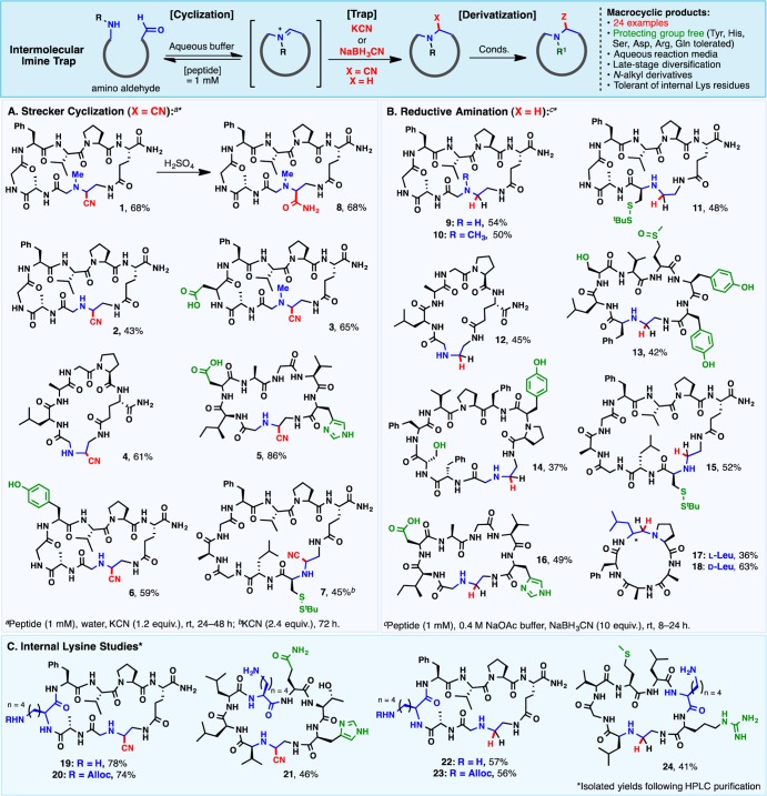 Scheme 2