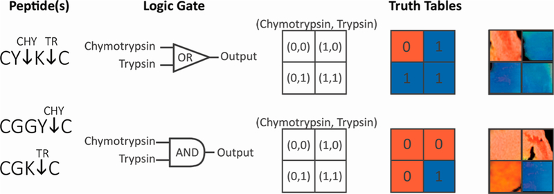 Figure 7.