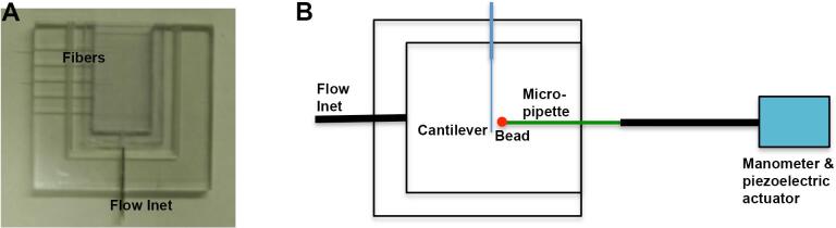 Fig. 1