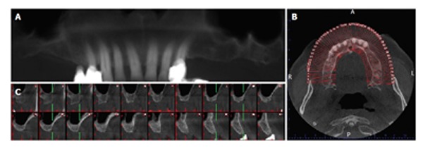 Figure 10