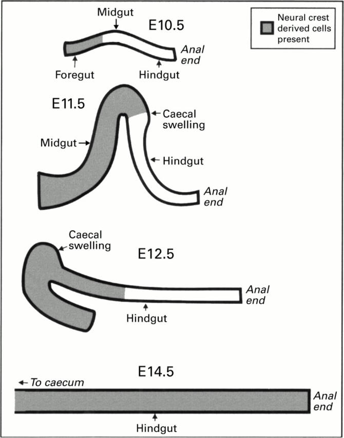 Figure 2  