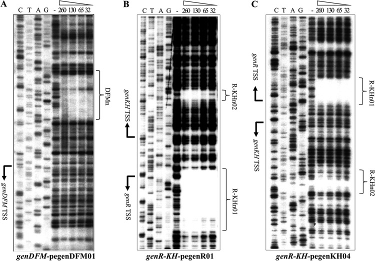 Fig 5