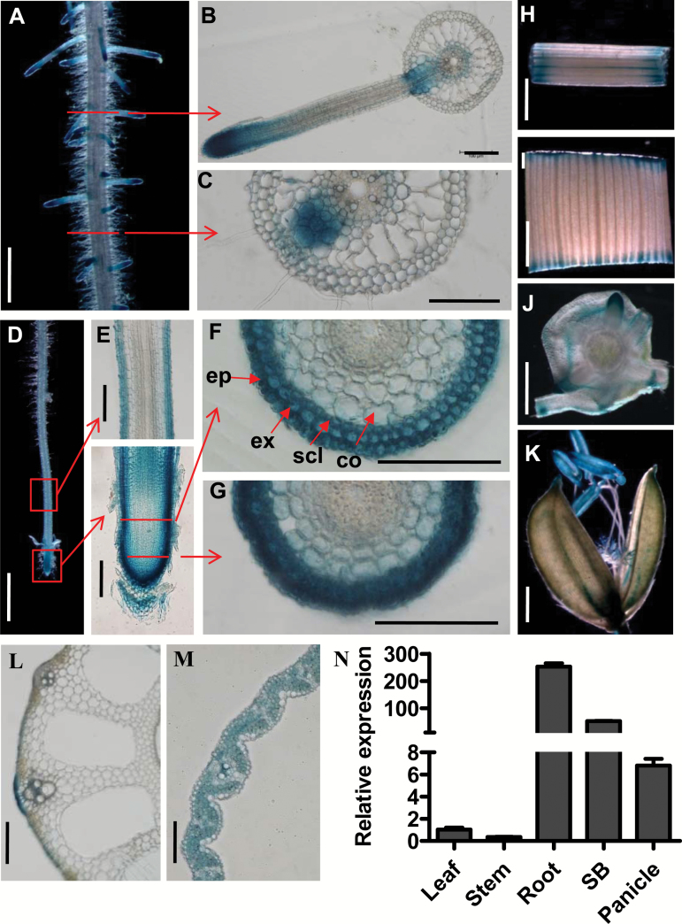 Fig 3.