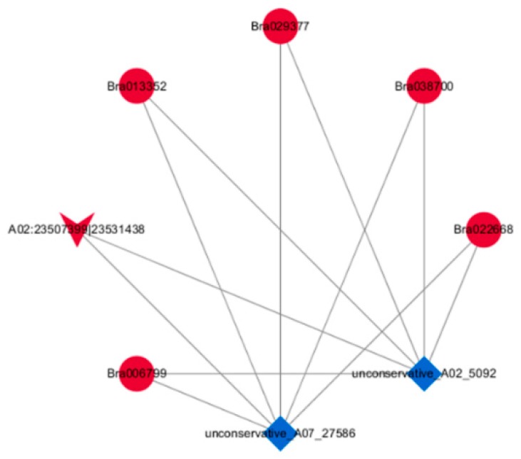 Figure 11